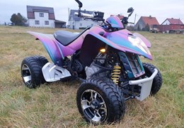 Gebrauchte Kymco Maxxer 250