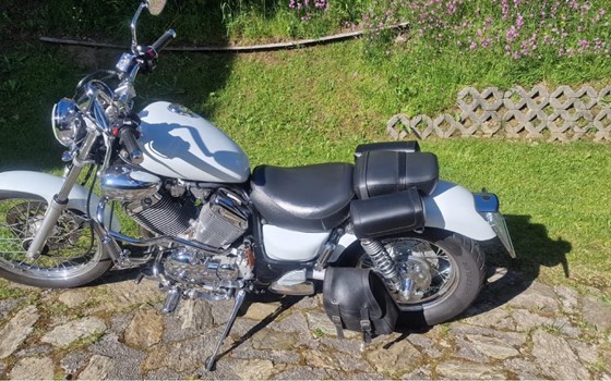 Gebrauchtmotorrad Yamaha XV 535 Virago - Bild 3 Gebrauchtmotorrad Yamaha XV 535 Virago - Bild 3