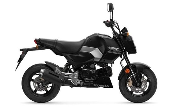 Gebrauchtmotorrad Honda MSX125 Grom - Bild 1