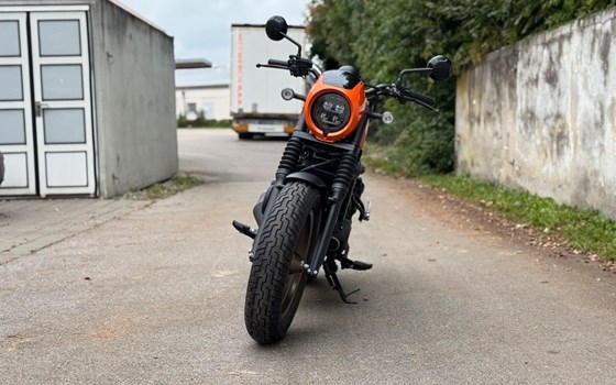 Neufahrzeug Honda CMX500 Rebel - Bild 5