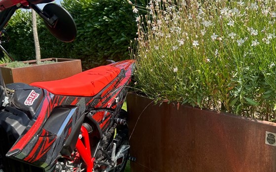 Gebrauchtmotorrad Beta RR 125 LC Motard - Bild 6 Gebrauchtmotorrad Beta RR 125 LC Motard - Bild 6