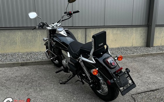 Neufahrzeug United Motors UM Renegade Commando Classic 125 - Bild 4 Neufahrzeug United Motors UM Renegade Commando Classic 125 - Bild 4
