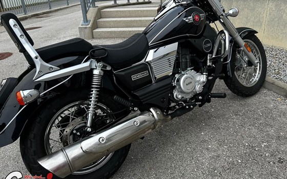 Neufahrzeug United Motors UM Renegade Commando Classic 125 - Bild 8 Neufahrzeug United Motors UM Renegade Commando Classic 125 - Bild 8