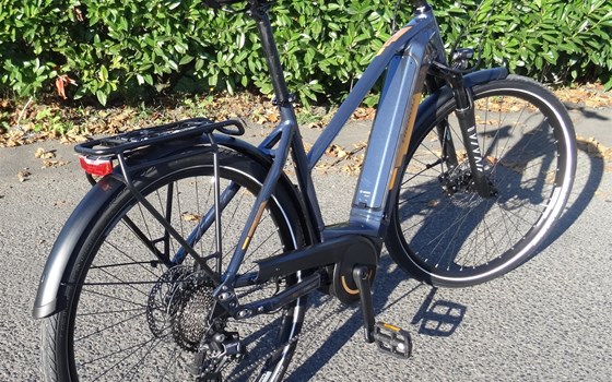 Neufahrzeug Trenoli TANARO SPORTIVO T - Bild 2