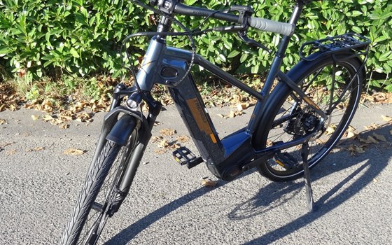 Neufahrzeug Trenoli TANARO SPORTIVO T - Bild 3