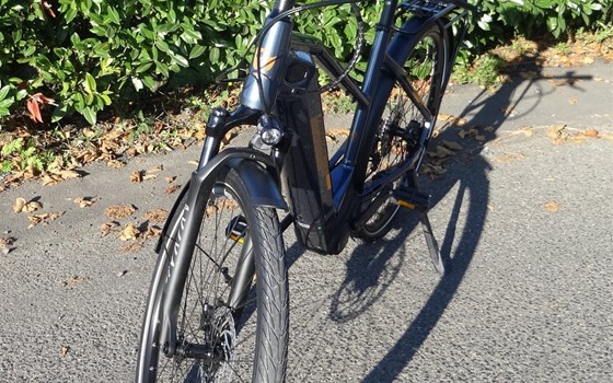 Neufahrzeug Trenoli TANARO SPORTIVO T - Bild 4