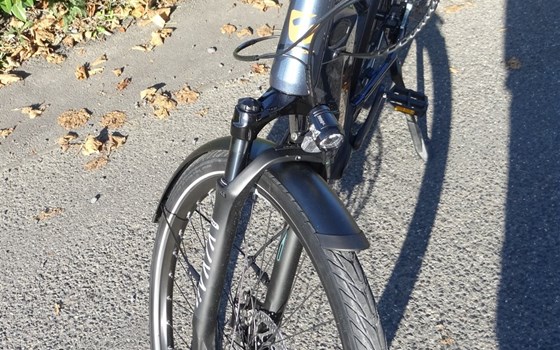 Neufahrzeug Trenoli TANARO SPORTIVO T - Bild 5