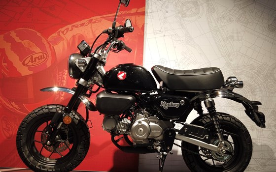 Neufahrzeug Honda Monkey 125 - Bild 1