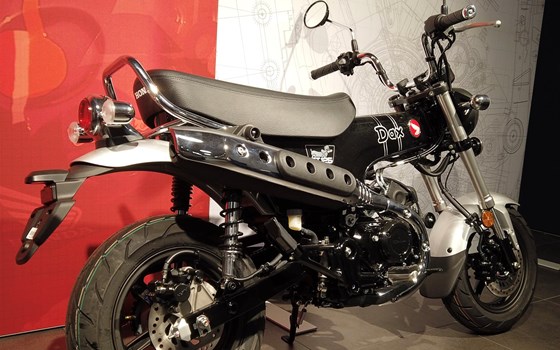 Neufahrzeug Honda Dax 125 - Bild 2