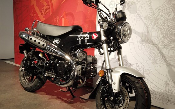 Neufahrzeug Honda Dax 125 - Bild 3