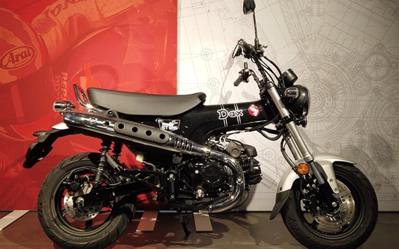 Neufahrzeug Honda Dax 125 - Bild 1