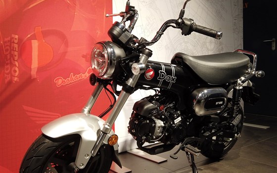 Neufahrzeug Honda Dax 125 - Bild 5