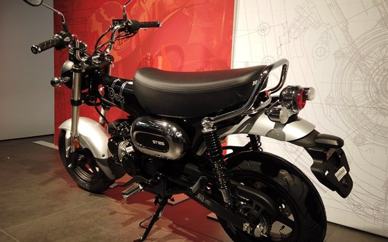 Neufahrzeug Honda Dax 125 - Bild 6