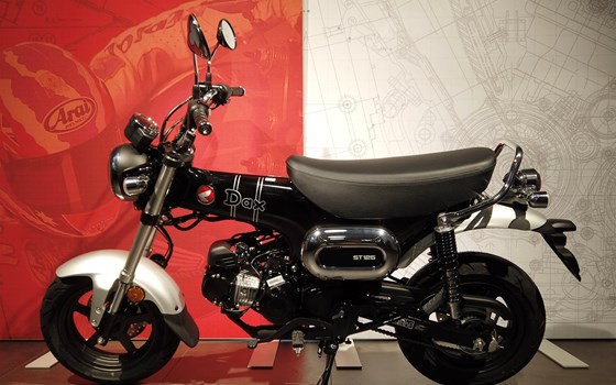 Neufahrzeug Honda Dax 125 - Bild 4