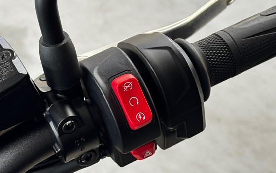 Gebrauchtmotorrad Triumph Trident 660 - Bild 10