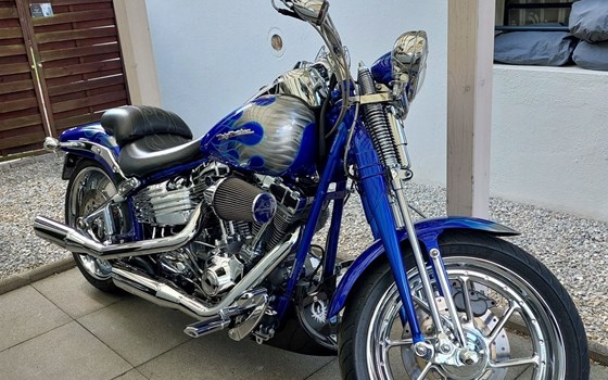 Motorrad Occasion Harley-Davidson CVO Softail Springer FXSTSSE - Bild 5