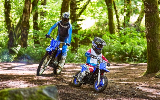 Neufahrzeug Yamaha PW50 - Bild 7 Neufahrzeug Yamaha PW50 - Bild 7