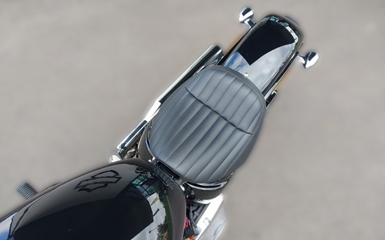 Neufahrzeug Harley-Davidson Softail Standard FXST - Bild 10 Neufahrzeug Harley-Davidson Softail Standard FXST - Bild 10