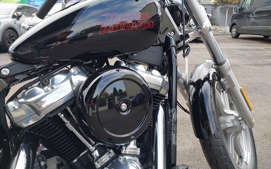 Neufahrzeug Harley-Davidson Softail Standard FXST - Bild 11 Neufahrzeug Harley-Davidson Softail Standard FXST - Bild 11