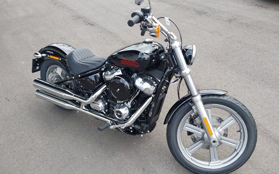 Neufahrzeug Harley-Davidson Softail Standard FXST - Bild 12 Neufahrzeug Harley-Davidson Softail Standard FXST - Bild 12