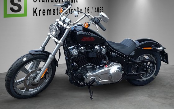 Neufahrzeug Harley-Davidson Softail Standard FXST - Bild 2 Neufahrzeug Harley-Davidson Softail Standard FXST - Bild 2