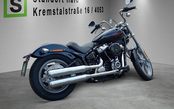 Neufahrzeug Harley-Davidson Softail Standard FXST - Bild 4 Neufahrzeug Harley-Davidson Softail Standard FXST - Bild 4