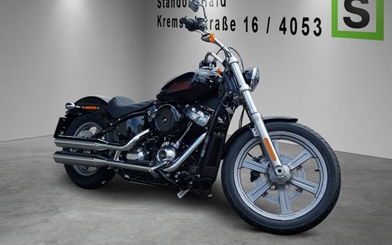 Neufahrzeug Harley-Davidson Softail Standard FXST - Bild 5 Neufahrzeug Harley-Davidson Softail Standard FXST - Bild 5