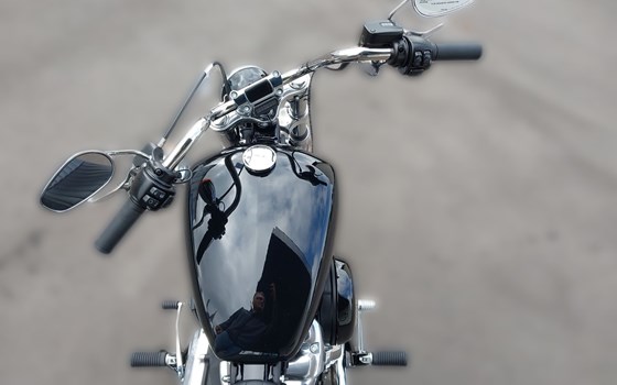 Neufahrzeug Harley-Davidson Softail Standard FXST - Bild 7 Neufahrzeug Harley-Davidson Softail Standard FXST - Bild 7