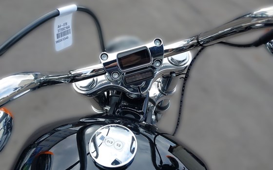 Neufahrzeug Harley-Davidson Softail Standard FXST - Bild 8 Neufahrzeug Harley-Davidson Softail Standard FXST - Bild 8