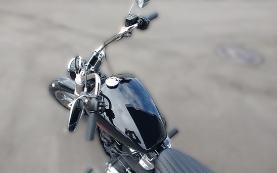 Neufahrzeug Harley-Davidson Softail Standard FXST - Bild 9 Neufahrzeug Harley-Davidson Softail Standard FXST - Bild 9