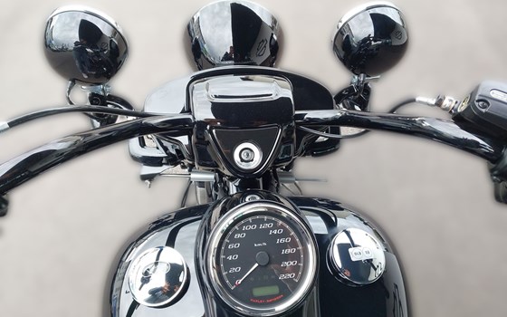 Neufahrzeug Harley-Davidson Freewheeler - Bild 8