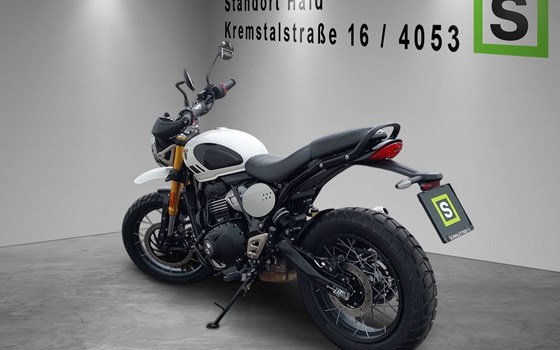 Neufahrzeug Triumph Scrambler 400 XC - Bild 3 Neufahrzeug Triumph Scrambler 400 XC - Bild 3