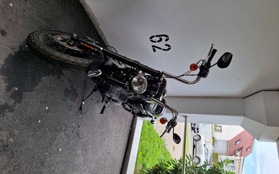 Gebrauchtmotorrad Harley-Davidson Roadster - Bild 2