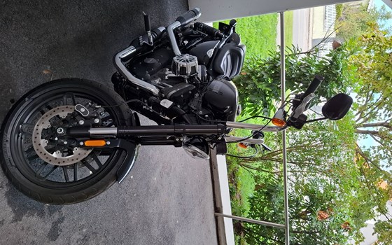 Gebrauchtmotorrad Harley-Davidson Roadster - Bild 3