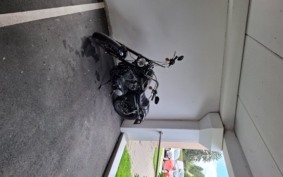 Gebrauchtmotorrad Harley-Davidson Roadster - Bild 7 Gebrauchtmotorrad Harley-Davidson Roadster - Bild 7