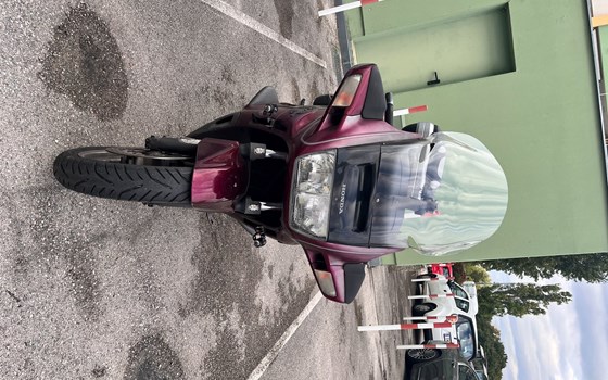 Gebrauchtmotorrad Honda ST 1100 Pan-European - Bild 3