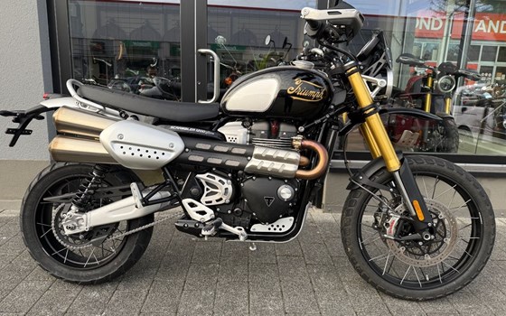 Gebrauchtmotorrad Triumph Scrambler 1200 XE - Bild 1