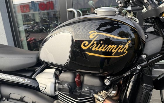 Gebrauchtmotorrad Triumph Scrambler 1200 XE - Bild 3