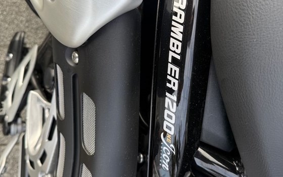 Gebrauchtmotorrad Triumph Scrambler 1200 XE - Bild 6