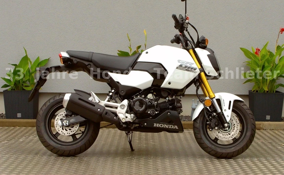 Offer Honda MSX125 Grom Bild 1: Offer Honda MSX125 Grom
