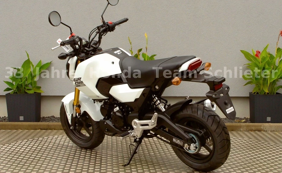 Offer Honda MSX125 Grom Bild 6: Offer Honda MSX125 Grom