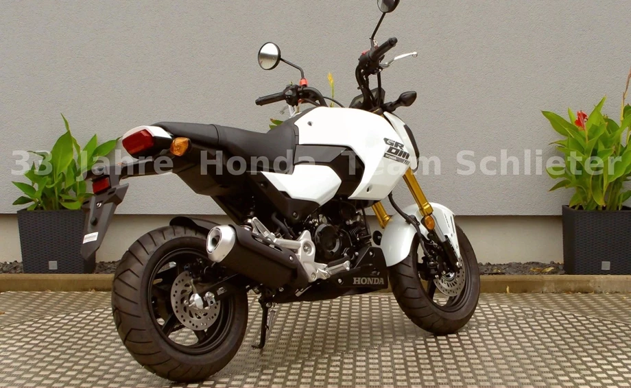 Offer Honda MSX125 Grom Bild 8: Offer Honda MSX125 Grom