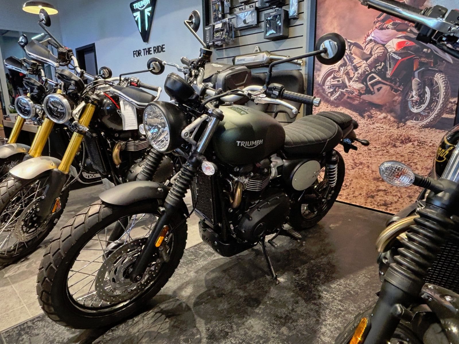 Triumph Scrambler 900