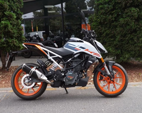 zum Vergrössern bitte anklicken!