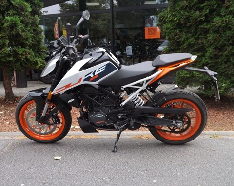 zum Vergrössern bitte anklicken!