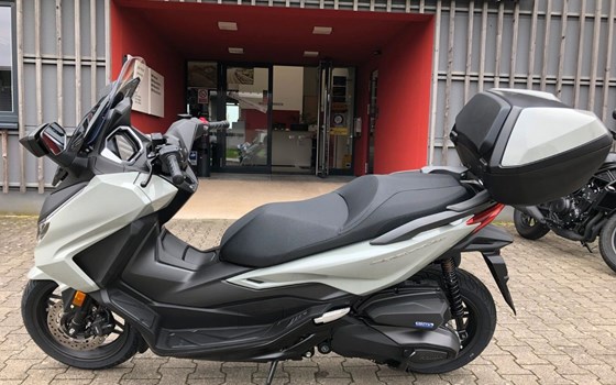 Neufahrzeug Honda Forza 350 - Bild 1