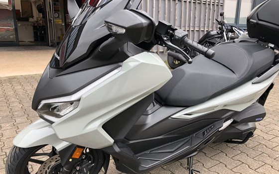 Neufahrzeug Honda Forza 350 - Bild 2