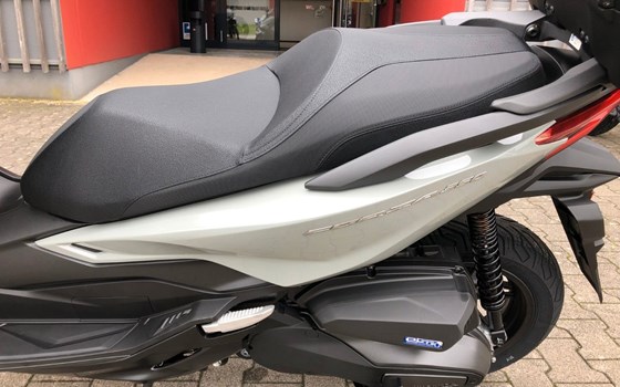 Neufahrzeug Honda Forza 350 - Bild 5