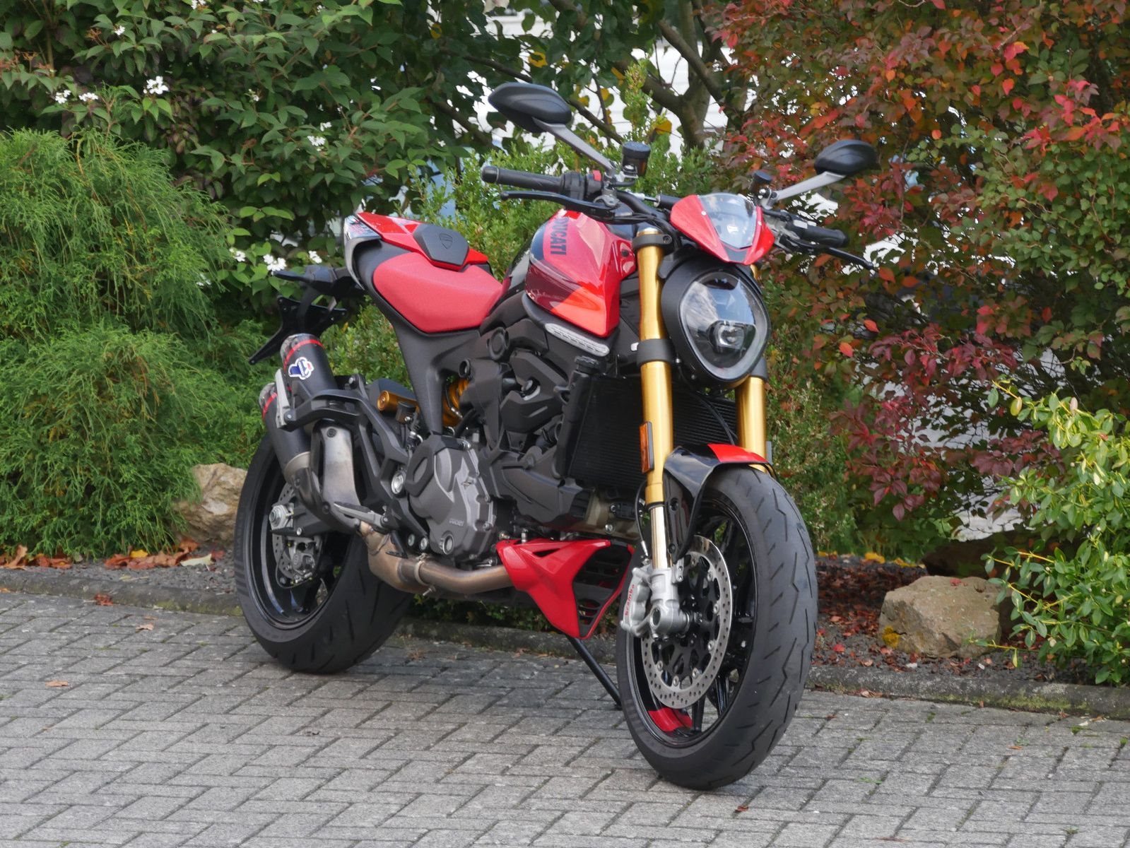 Ducati Monster SP