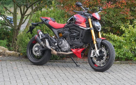 Gebrauchtmotorrad Ducati Monster SP - Bild 2